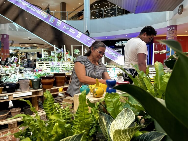 Produtores locais do Mercado das Flores promovem Feira com variedade de flores e plantas ornamentais no RioMar Fortaleza
