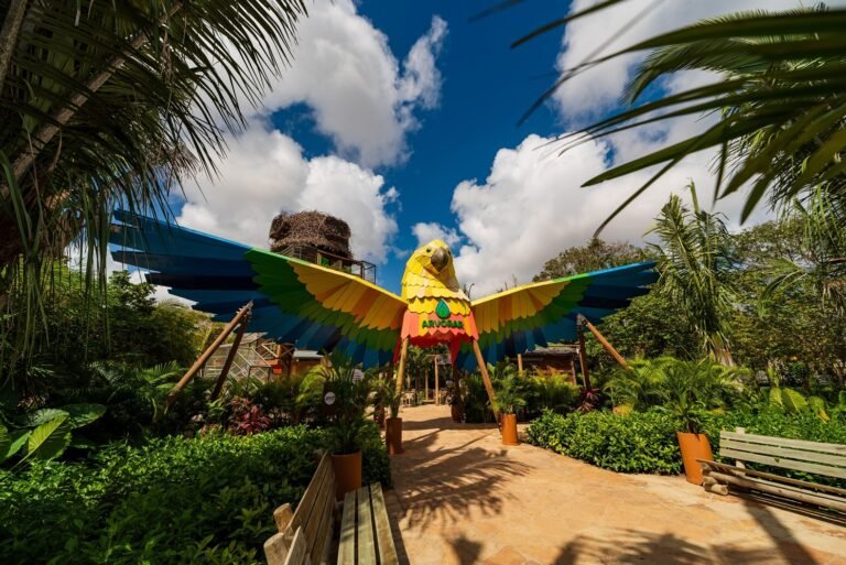 Parque Arvorar abre excepcionalmente às 11h neste domingo (25) e oferece programação para toda a família